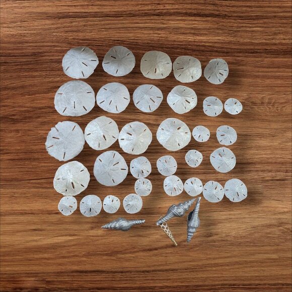 Silver tone Sand Dollars & Seashells Assorted Sizes For beach, wedding crafts - Picture 1 of 8
